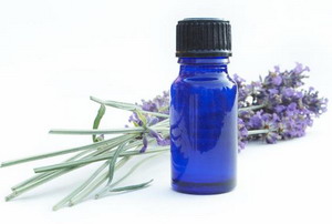 lavender oil benefits.jpg