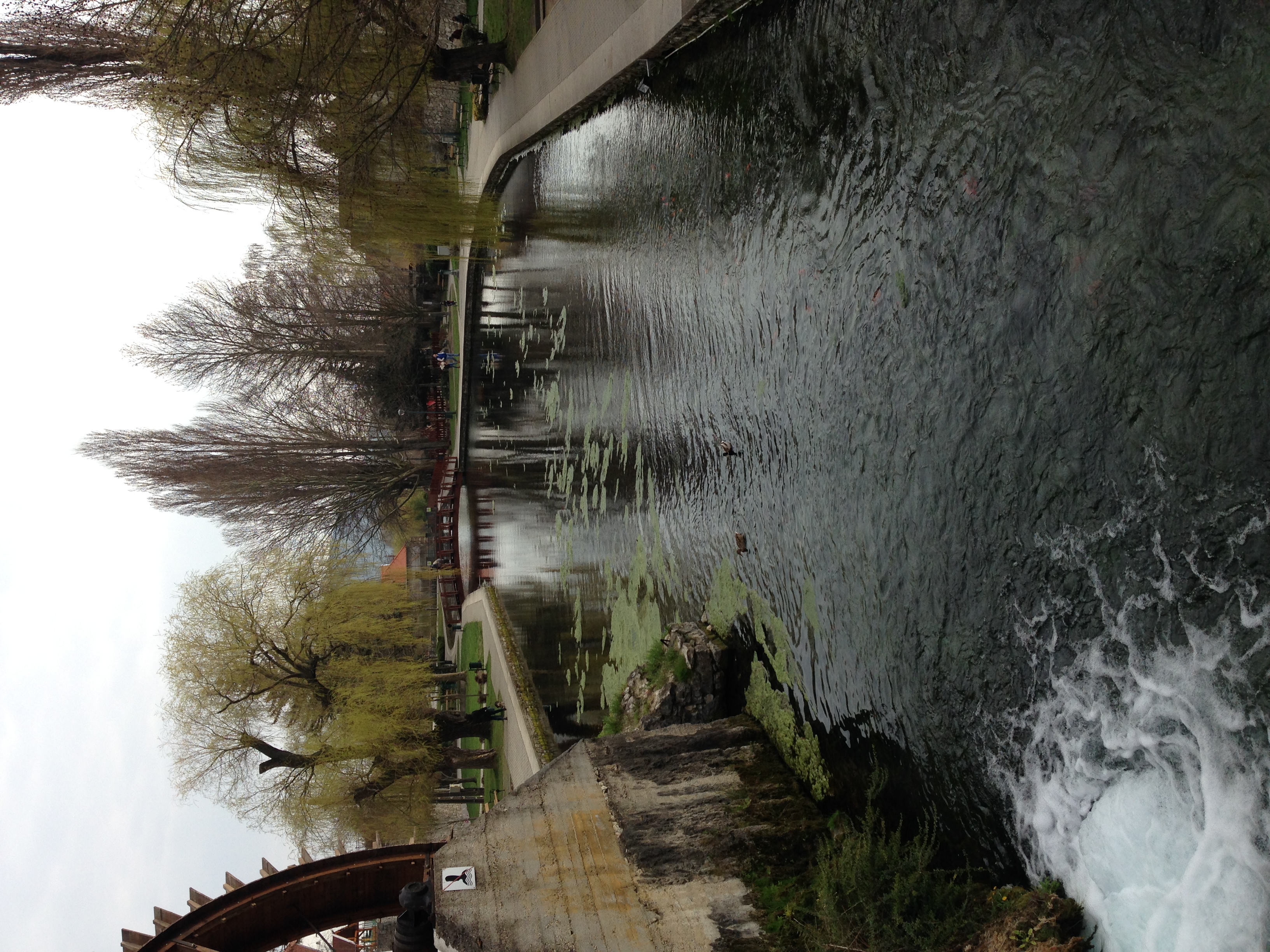 img_0657.jpeg