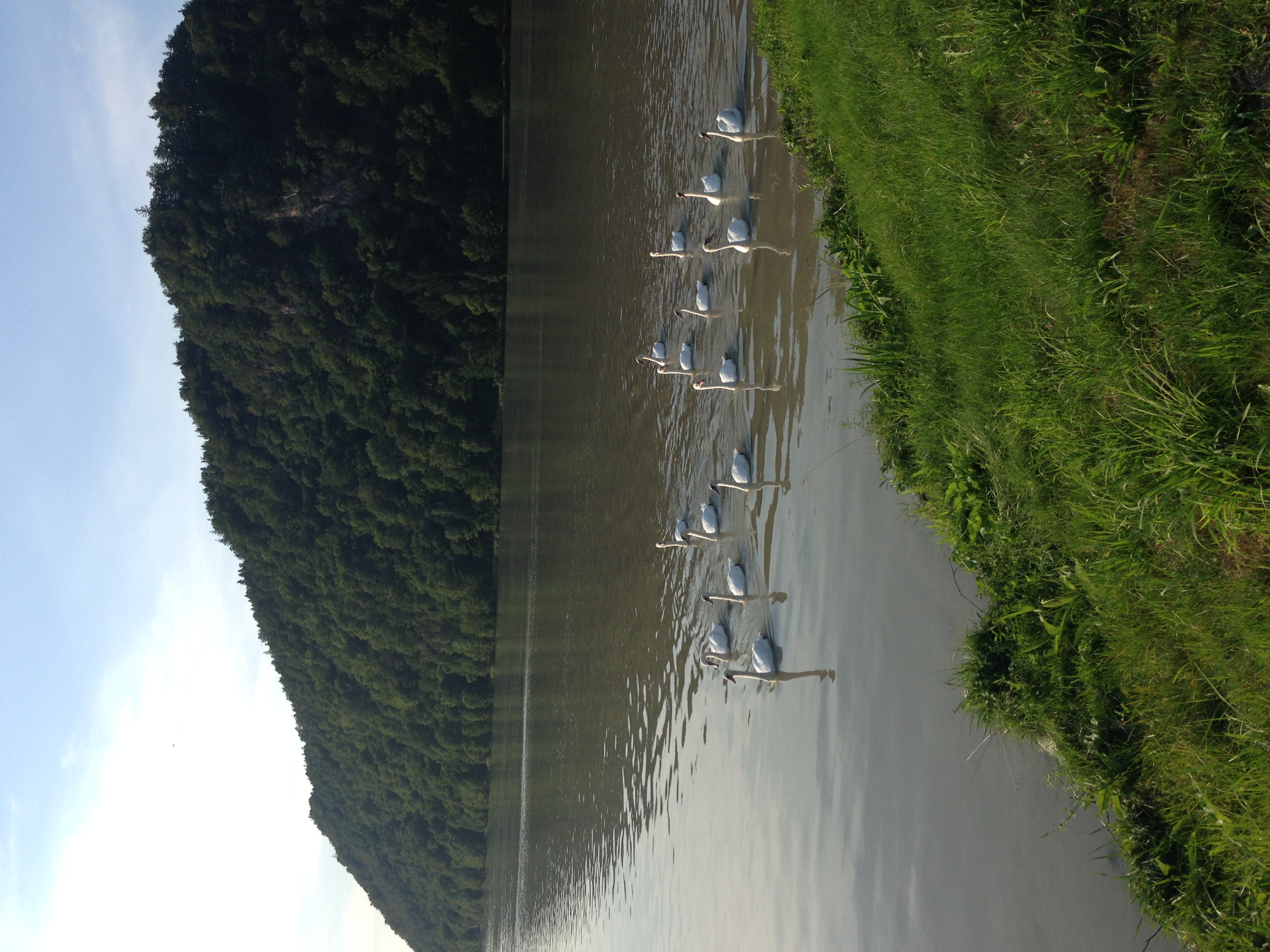 img_3772.jpeg