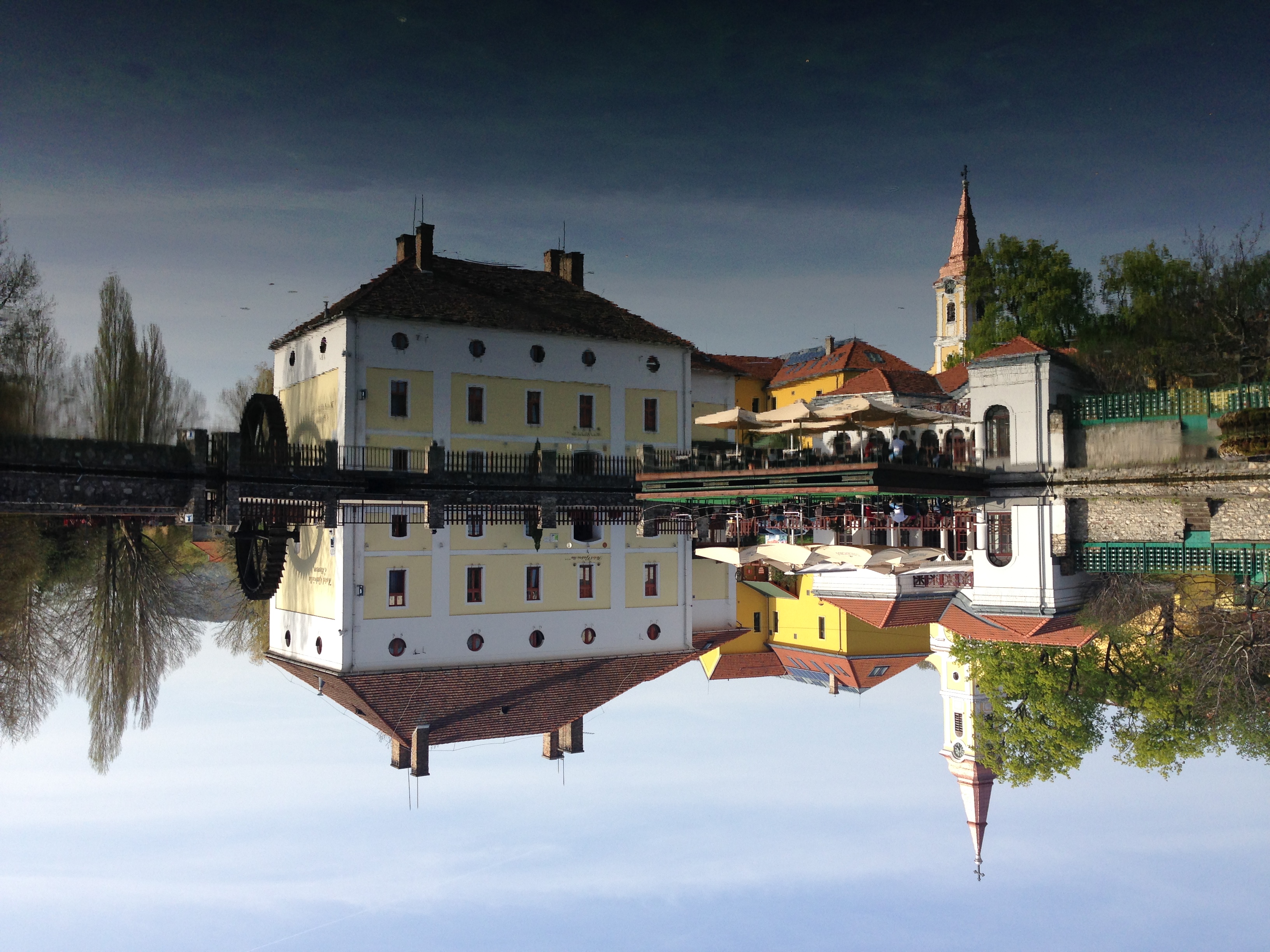 img_5528.jpeg