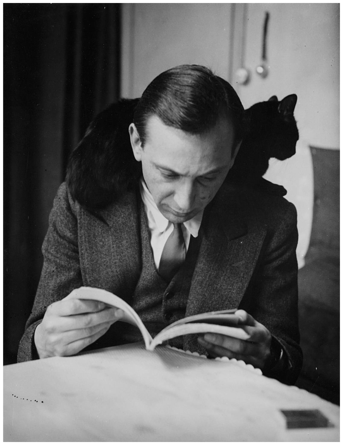 Self-portrait with chat noir, Paris, 1925-1935 ANDRÉ KERTÉSZ.jpeg