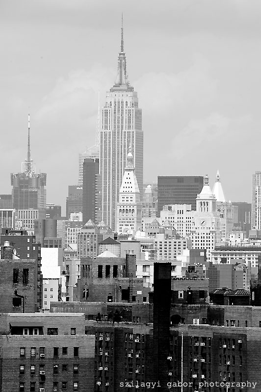 GAR_6408_800.jpg