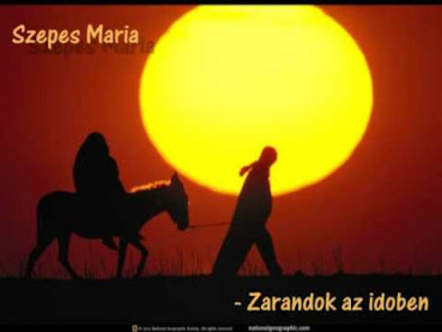 Sze­pes Má­ria: Zarándok az időben