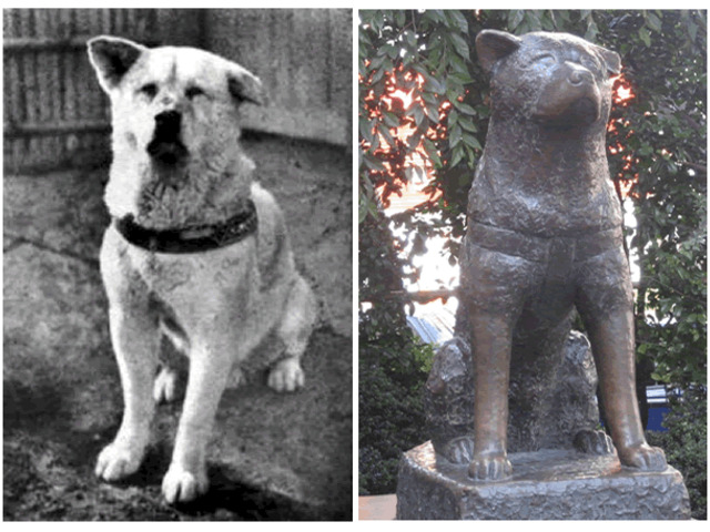 Hachiko, a hűséges kutya + Film