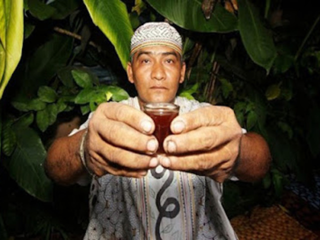 Ayahuasca-szertartás