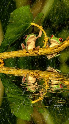 6604ced9cea177a7bdfa710c11521d49.gif