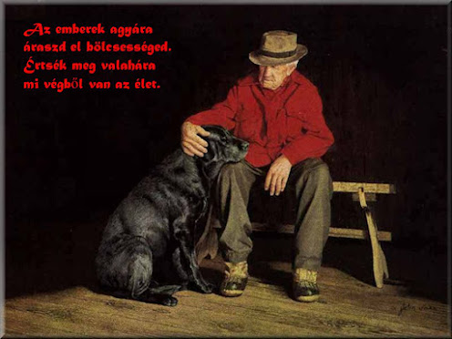 az_emberek_agyara_araszd_el_bolcsesseged.jpg