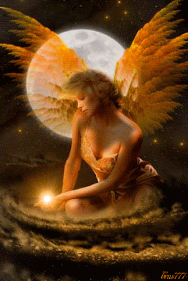 ee0efd1b5022d68f3edff69b8c9b28de.gif