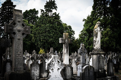 glasnevin-2696770_1920-1024x683.jpg
