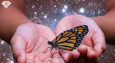what-is-spiritual-meaning-butterfly-landing-you_1.jpg