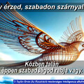 Kompakt – Szabadság(illúzió?)