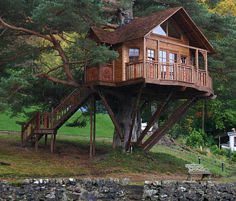 cool-2-lodge-treehouse-ocsxj.jpg