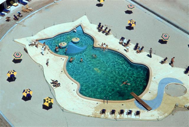 funny-swimmind-pools-small.jpg