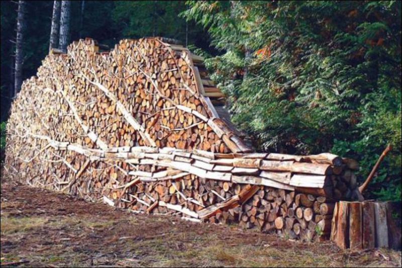 firewood_stack_1_jpeg.jpg