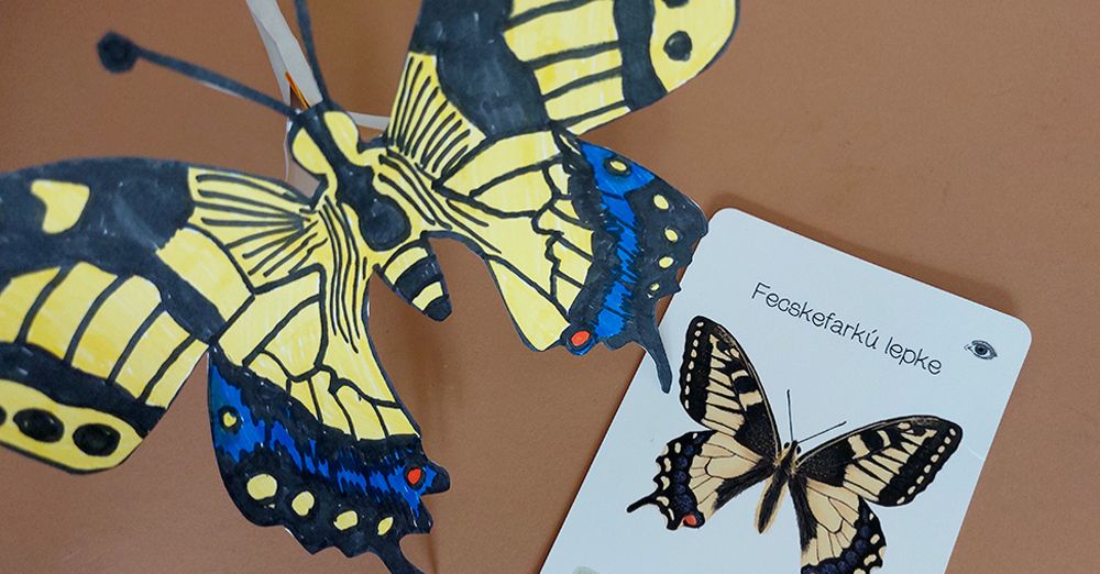 "Lepkeszárnyam tárom, egy, kettő, három!" - Készítsetek velünk reptethető pillangót az Állatok világnapján!