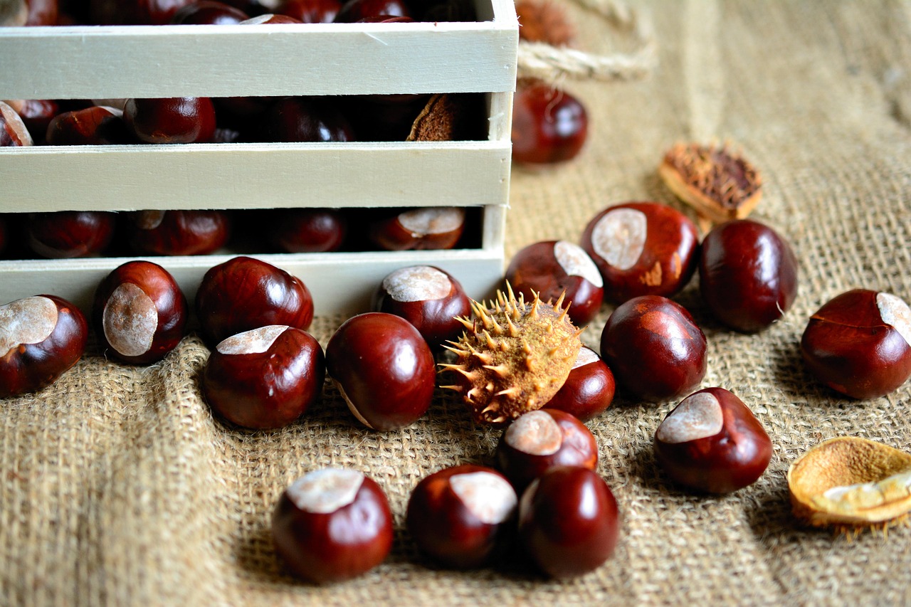 chestnuts-3693487_1280.jpg