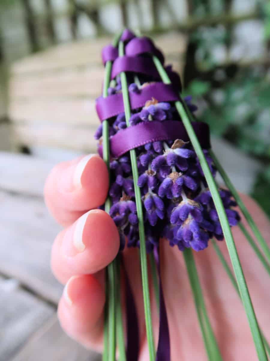 how-to-make-a-lavender-wand-from-fresh-lavender-06_1.jpg