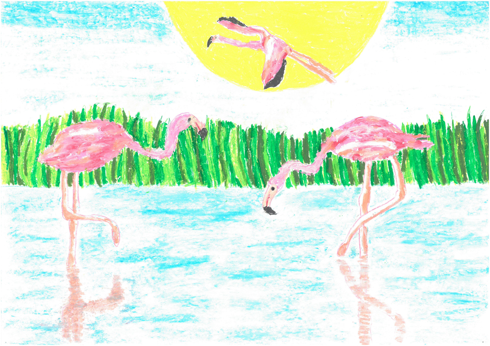 Janovich-Nagy Kitti, 12 éves <br />Flamingók <br />olajpasztell