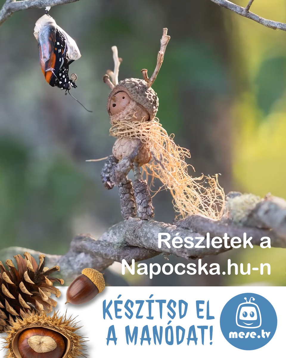 mano_pa_lya_zat3-3_1.jpeg