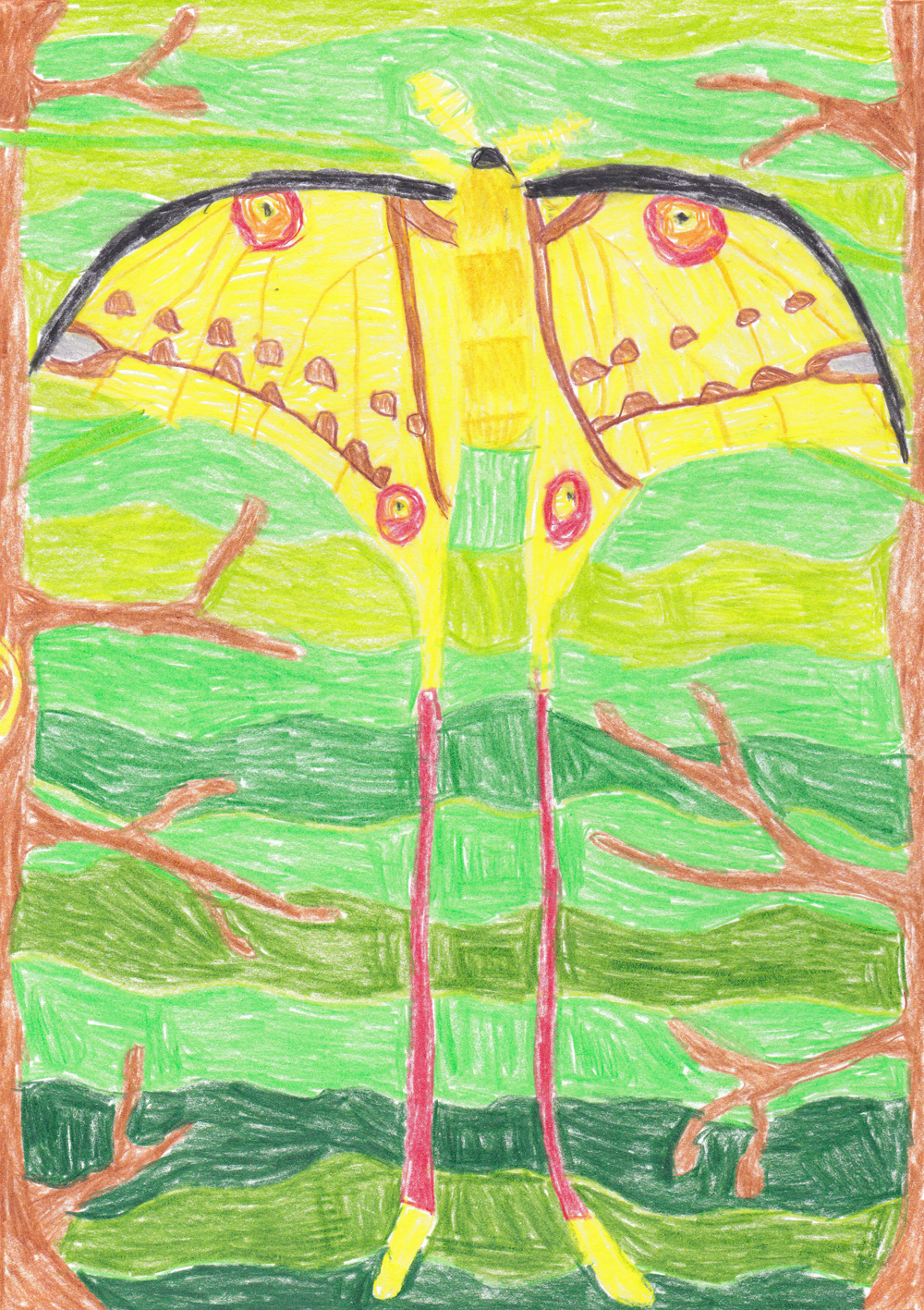 Pozsonyi Krisztián, 10 éves <br />Holdasszövő lepke <br />színes ceruza