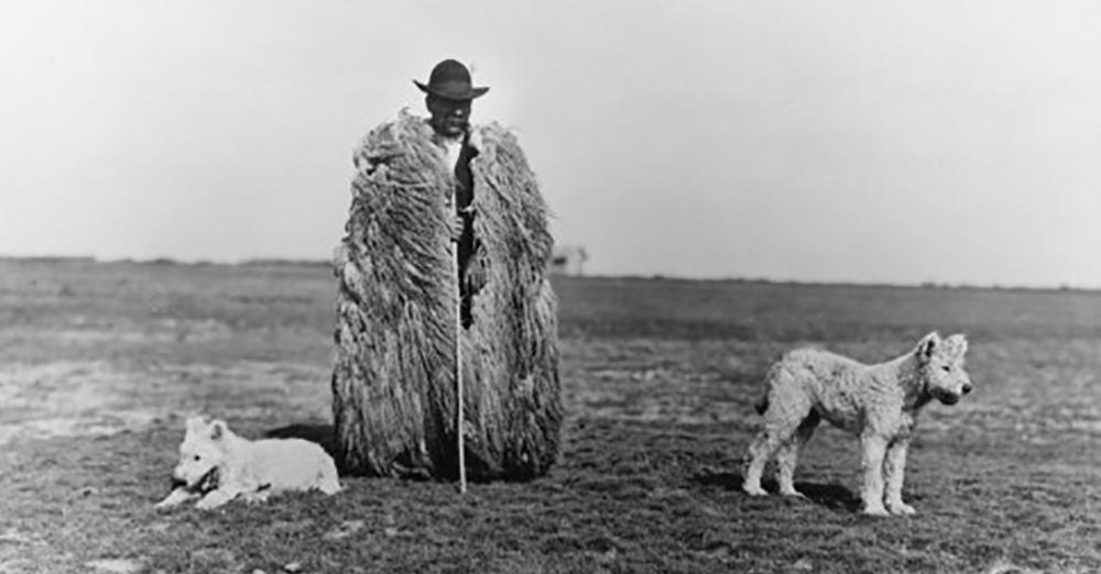 ra_hungarian_photo_key_95_balogh_shepherd_with_his_dogs_v.jpg