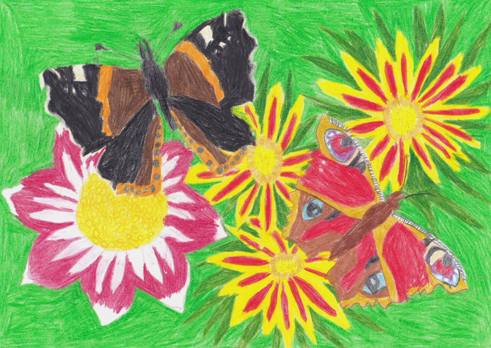 Varró Flóra, 10 éves  <br />Pillangók <br />színes ceruza