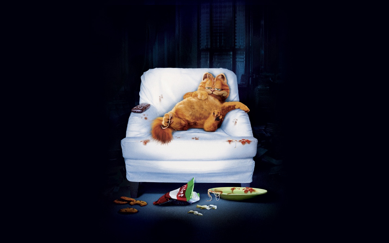 garfield-cartoon-cat-fat-cat-cute-lazy-sofa-eating-1280x800.jpg