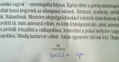 'Foglalkozásom életállapot!' - 10 éve ment el Schütz Ila