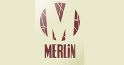 Merlin energia