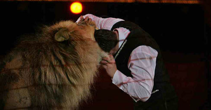 Betiltották a cirkuszi állatprodukciókat Mexikóban