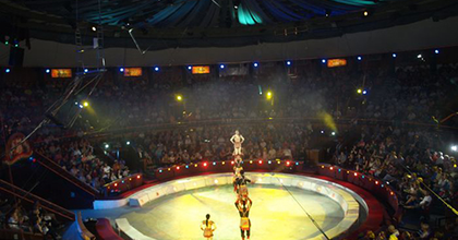 Több ezer néző előtt zajlott az első Cirkuszok Éjszakája