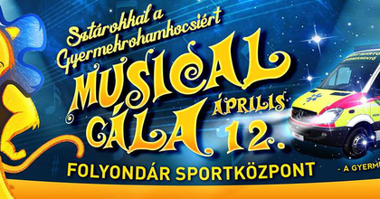 Musical gálát szerveznek a gyermekrohamkocsiért