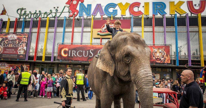 Nemzetközi Cirkuszfesztivált rendeznek a fővárosban