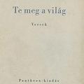 Szabó Lőrinc: Te meg a világ (1932) kötet kritika, vélemény. Semmiért Egészen elemzés, kérdések