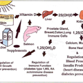 Kell-e nekünk a nap vitaminja, a D-vitamin?