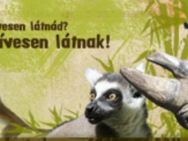 Animalspotting