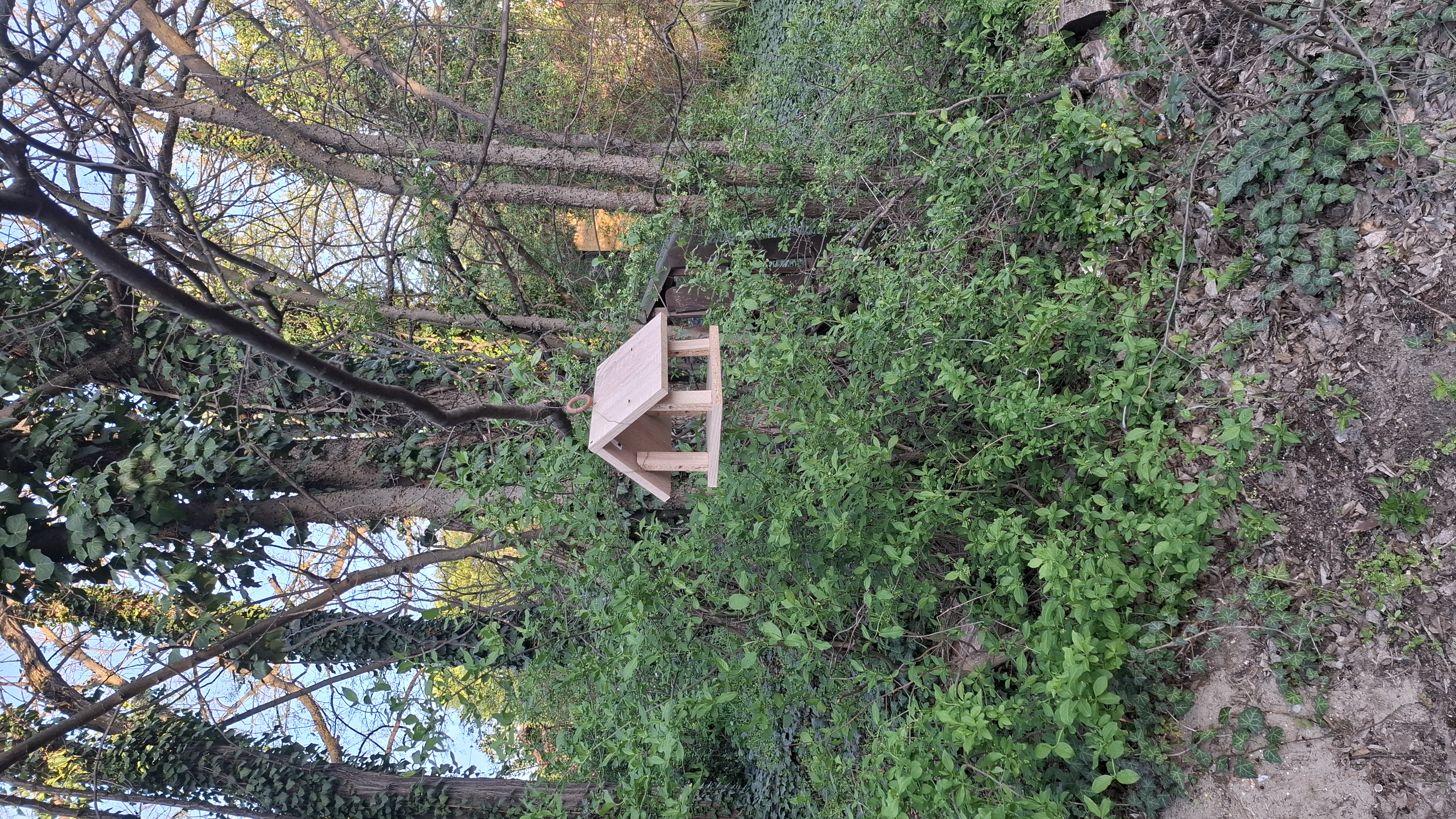image000147.jpg