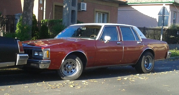 20130911_172916.jpg