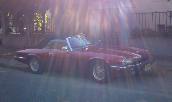 IMAG1251s.jpg