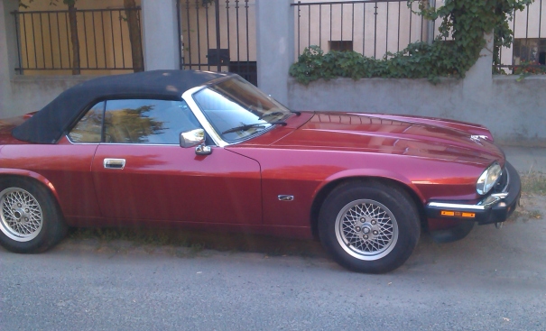 IMAG1252s.jpg