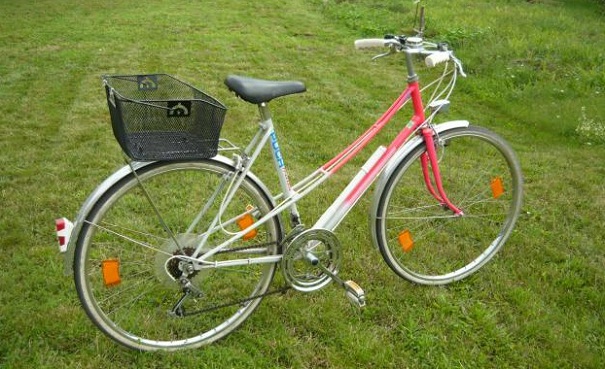 Puch-unisex.jpg