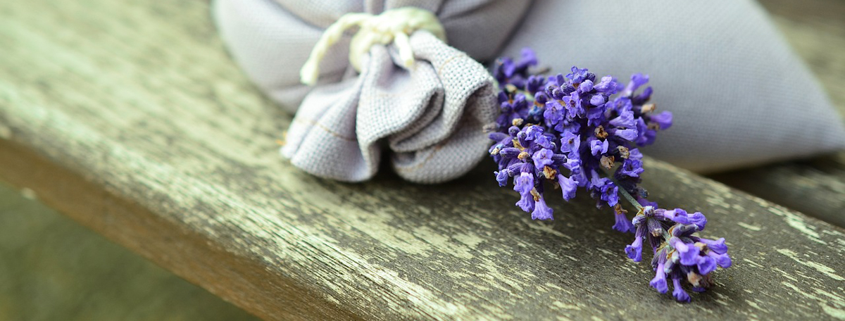 lavender-823584_1280.jpg