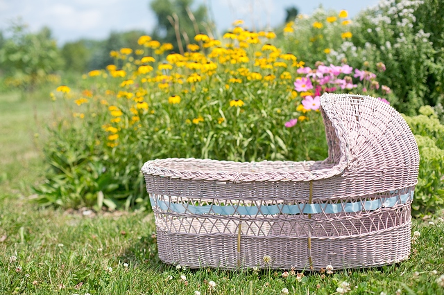 lovely-cradle-in-flowers-garden-5760x3840_28348.jpg