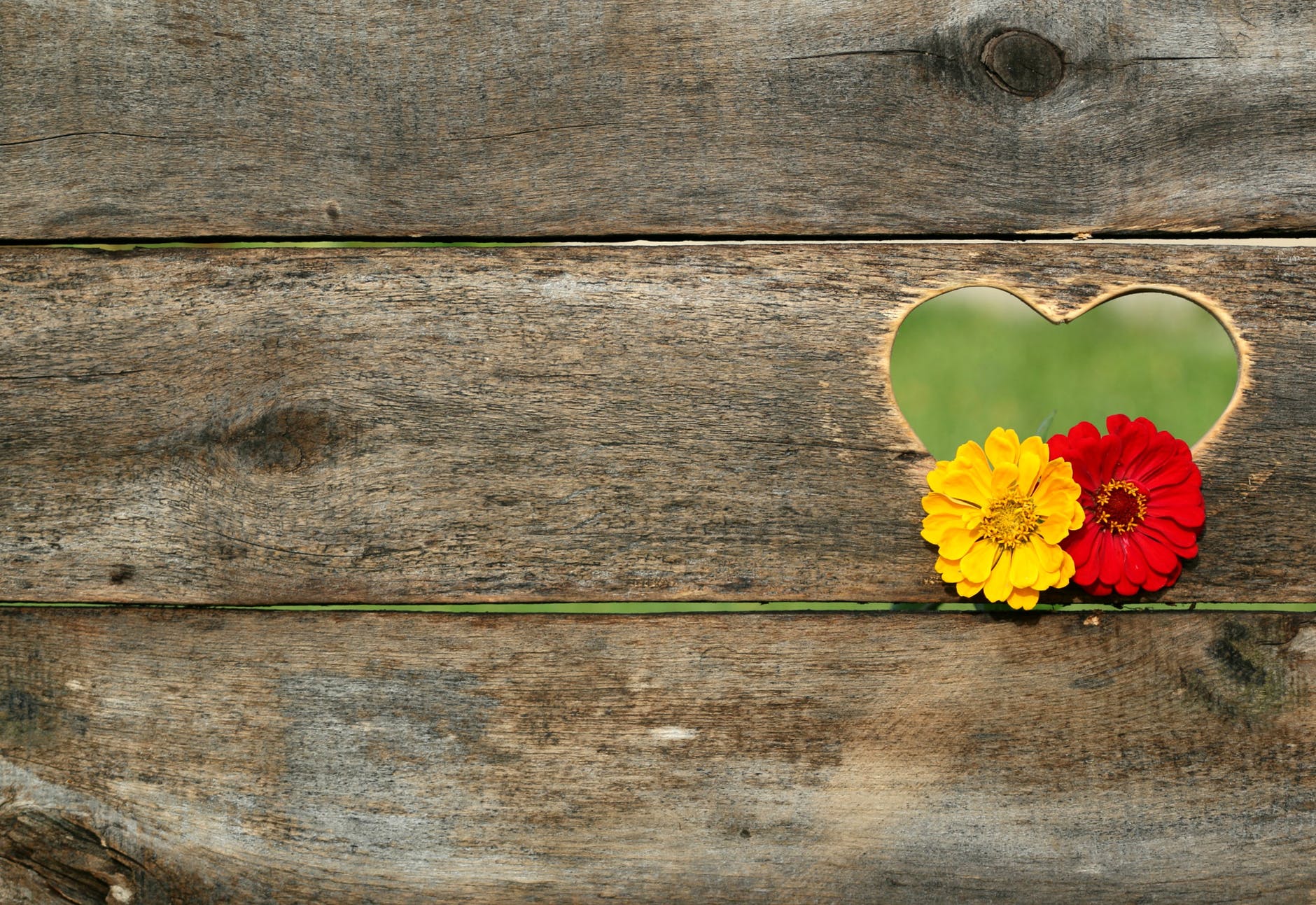 postcard-heart-flowers-board-158635.jpeg