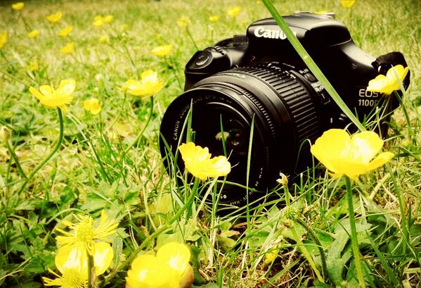 camera-canon-flower-pictures-favim_com-803550.jpg