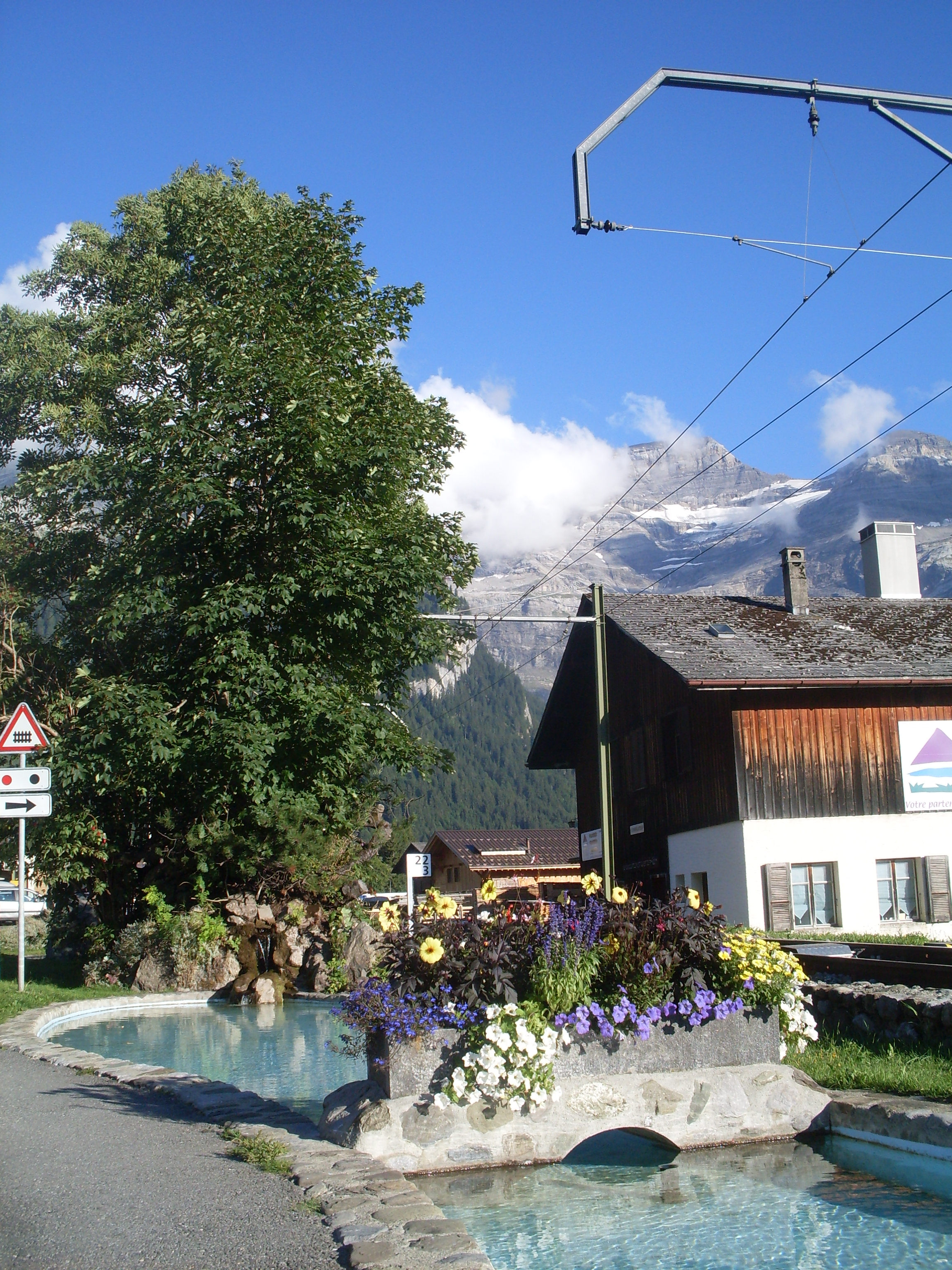 sdc12351.JPG