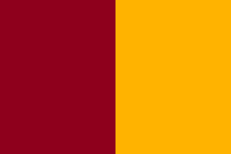 800px-flag_of_rome_svg.png