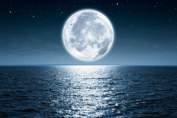 wall-murals-full-moon-night.png