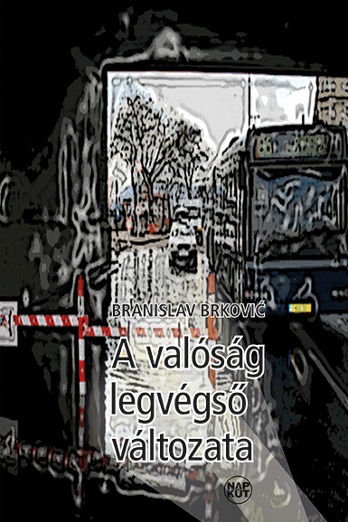 a_valosag_legvegso_valtozata.jpg