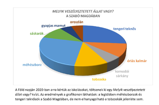 Homeschooling, május 11.